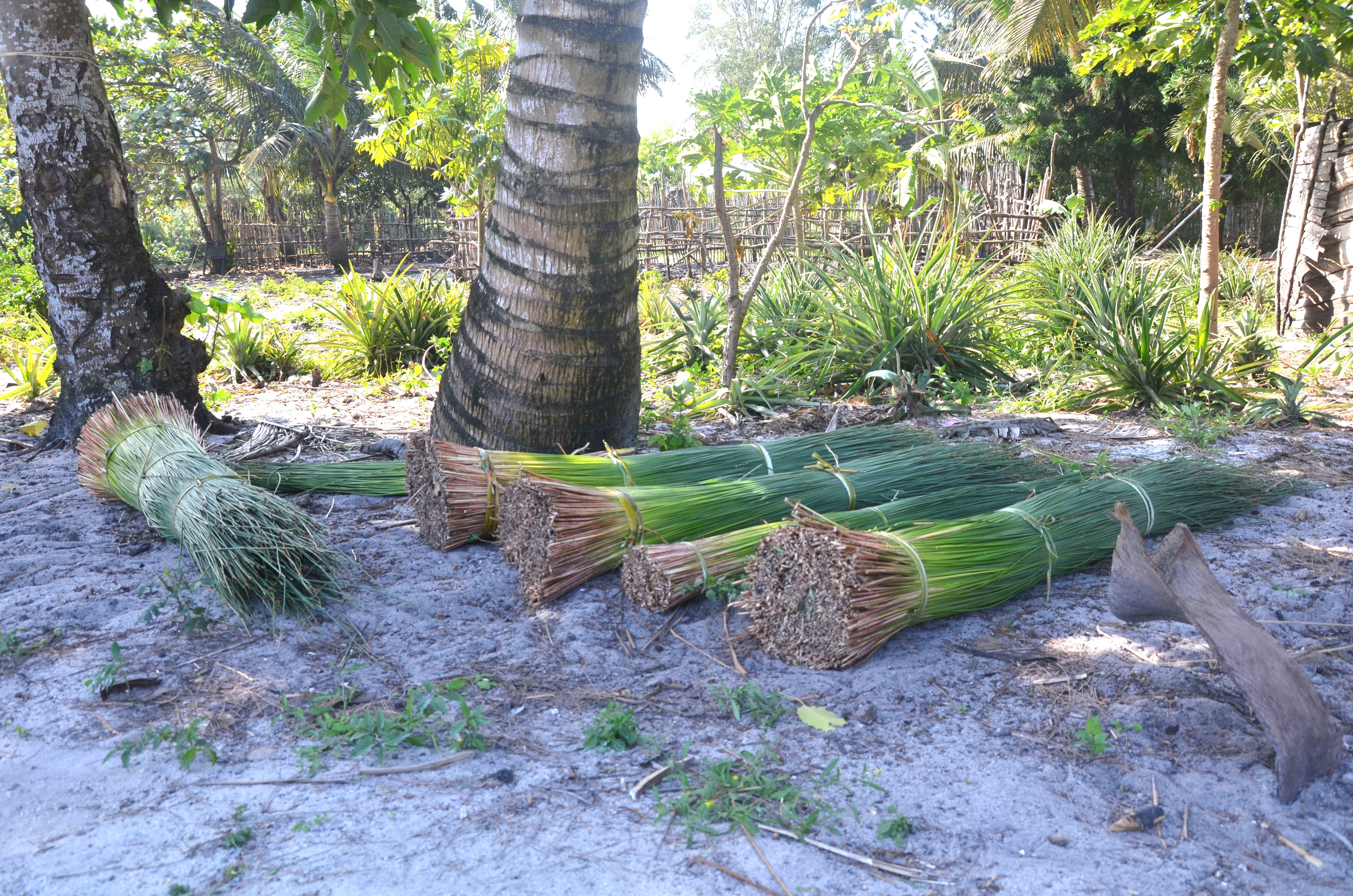 Mahampy bundles outside tonettes house